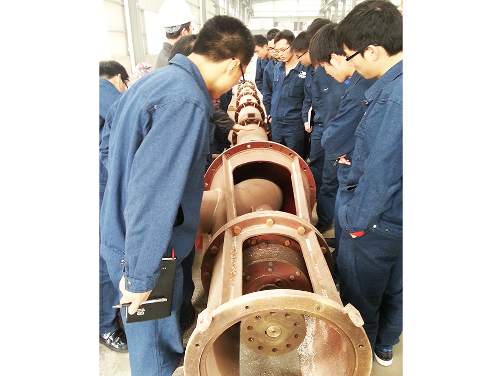 LC33-1立式长轴泵
