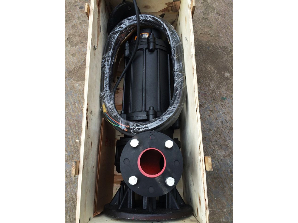 QW100潜污泵